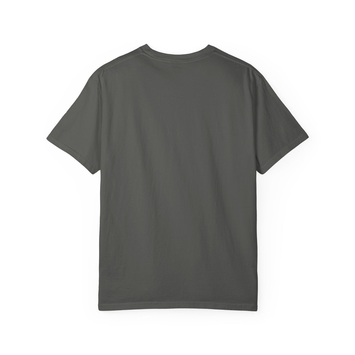 Break my horse Tshirt